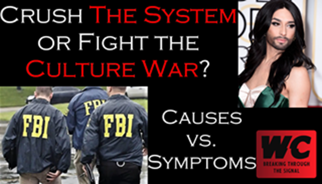 Crush The System or Fight the Culture War? Causes or Symptoms? 